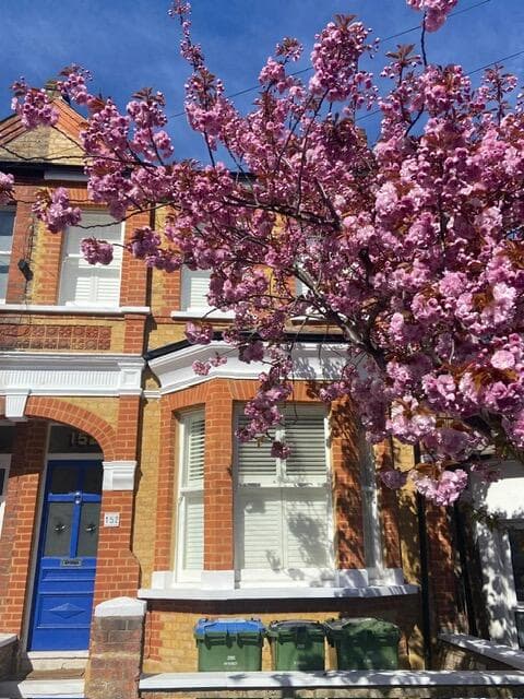 3 bedroom terraced house for sale in Ancona Road, Plumstead, Greenwich, SE18