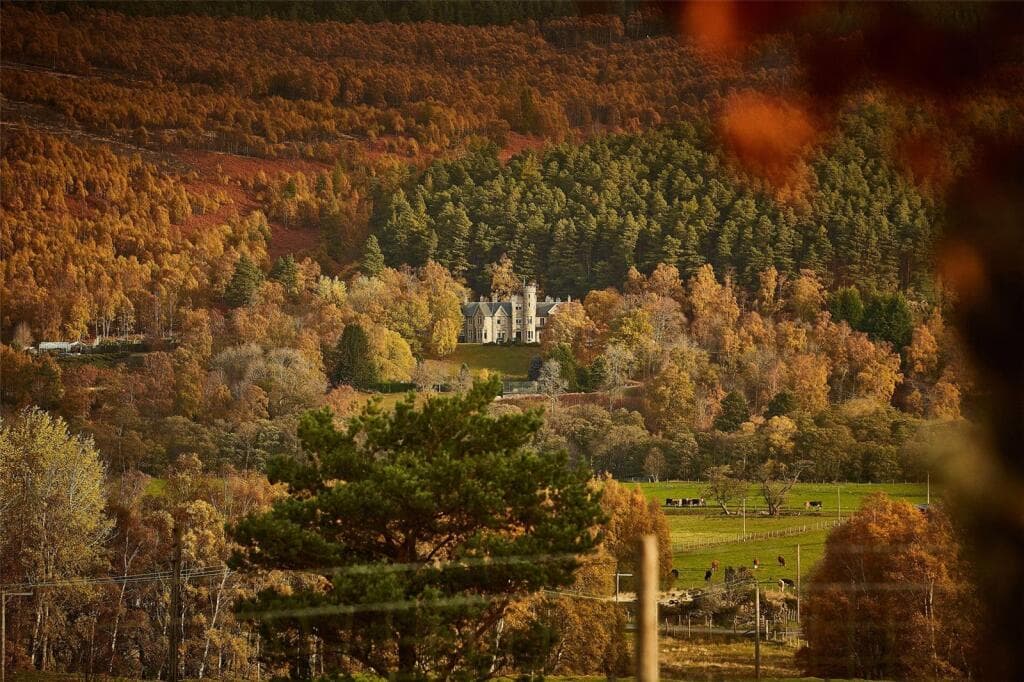 Land for sale in Tulchan Estate, Grantown-on-Spey, Morayshire, PH26